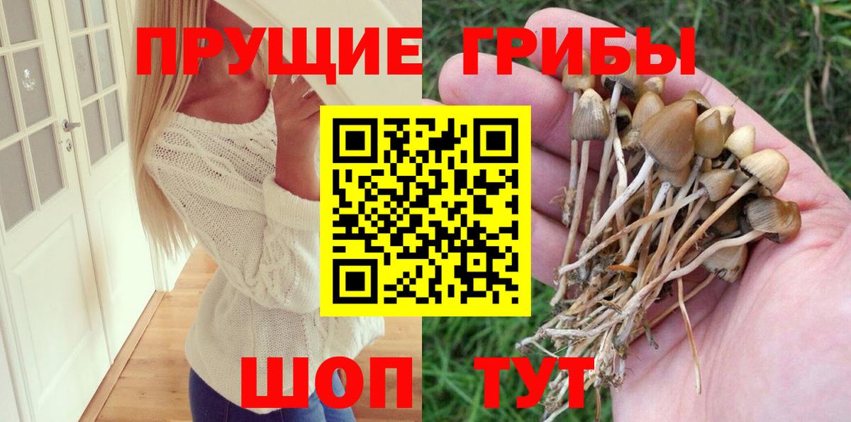 Одинцово  где купить наркотик  Вход с VPN  Галлюциногенные грибы мухоморы 